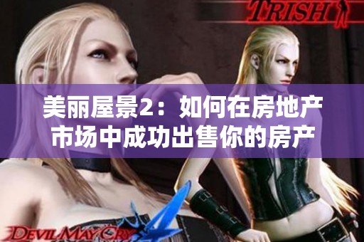 美丽屋景2：如何在房地产市场中成功出售你的房产