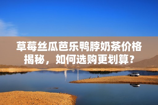 草莓丝瓜芭乐鸭脖奶茶价格揭秘，如何选购更划算？