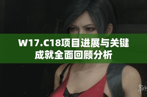 W17.C18项目进展与关键成就全面回顾分析