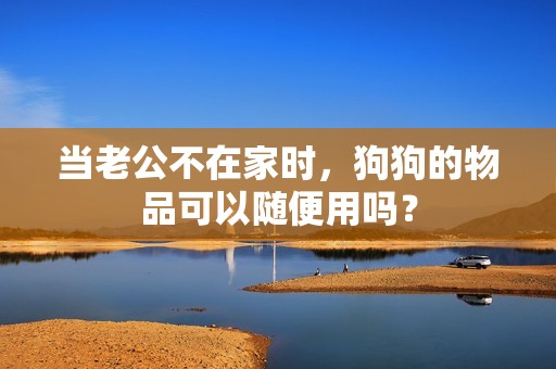 当老公不在家时，狗狗的物品可以随便用吗？