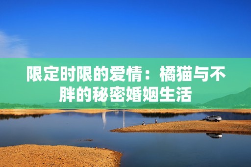 限定时限的爱情：橘猫与不胖的秘密婚姻生活