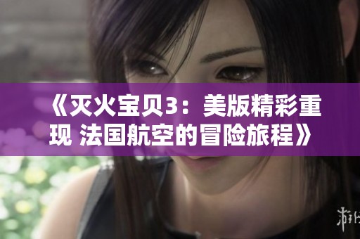 《灭火宝贝3：美版精彩重现 法国航空的冒险旅程》