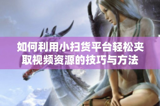 如何利用小扫货平台轻松夹取视频资源的技巧与方法