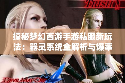 探秘梦幻西游手游私服新玩法：器灵系统全解析与爆率揭秘