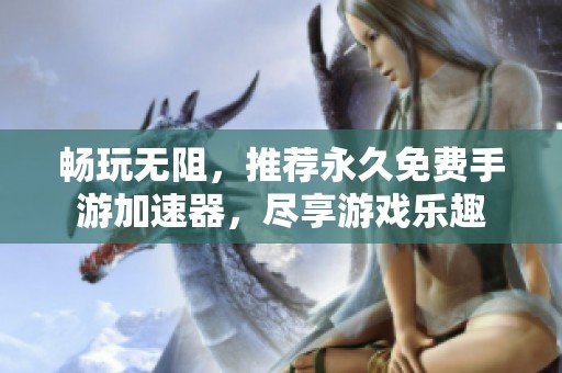 畅玩无阻，推荐永久免费手游加速器，尽享游戏乐趣