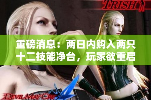 重磅消息：两日内购入两只十二技能净台，玩家欲重启服战荣耀