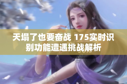 天塌了也要奋战 175实时识别功能遭遇挑战解析