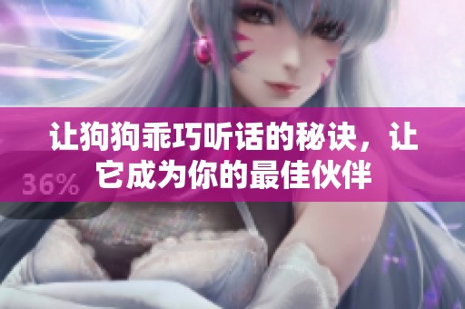 让狗狗乖巧听话的秘诀，让它成为你的最佳伙伴