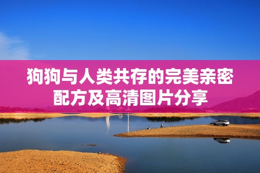 狗狗与人类共存的完美亲密配方及高清图片分享