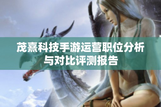 茂熹科技手游运营职位分析与对比评测报告
