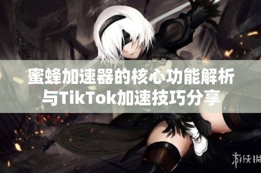蜜蜂加速器的核心功能解析与TikTok加速技巧分享