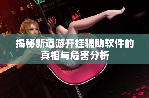 揭秘新道游开挂辅助软件的真相与危害分析