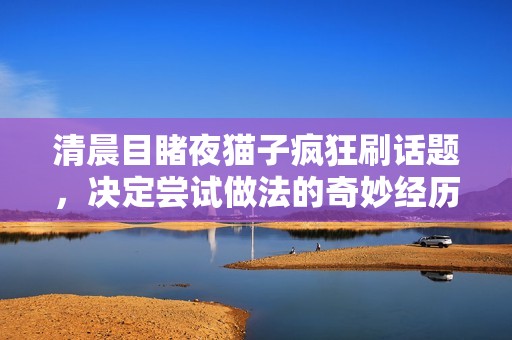 清晨目睹夜猫子疯狂刷话题，决定尝试做法的奇妙经历