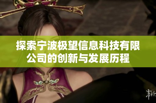 探索宁波极望信息科技有限公司的创新与发展历程