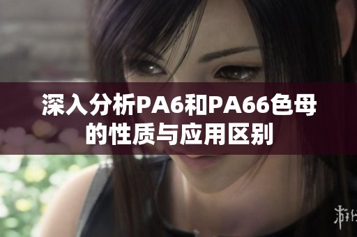 深入分析PA6和PA66色母的性质与应用区别