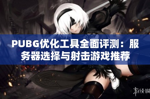 PUBG优化工具全面评测：服务器选择与射击游戏推荐