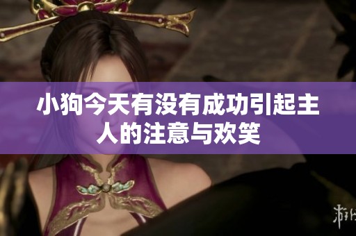 小狗今天有没有成功引起主人的注意与欢笑