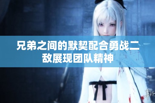 兄弟之间的默契配合勇战二敌展现团队精神