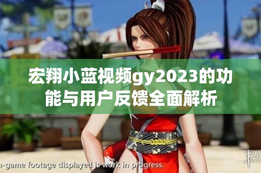 宏翔小蓝视频gy2023的功能与用户反馈全面解析