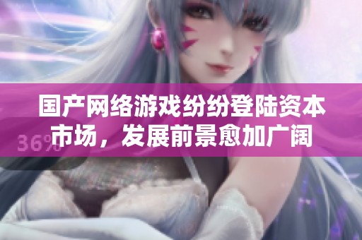 国产网络游戏纷纷登陆资本市场，发展前景愈加广阔