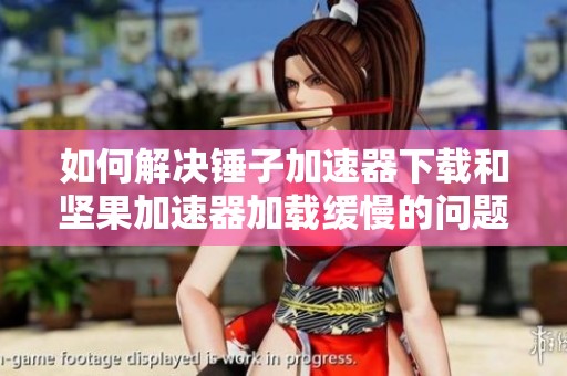 如何解决锤子加速器下载和坚果加速器加载缓慢的问题