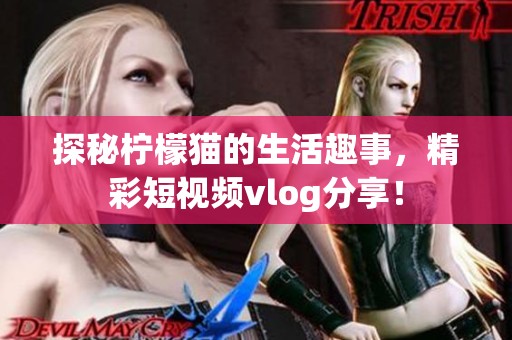 探秘柠檬猫的生活趣事，精彩短视频vlog分享！