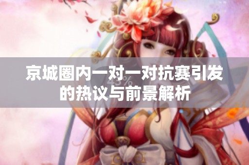 京城圈内一对一对抗赛引发的热议与前景解析