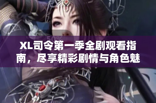 XL司令第一季全剧观看指南，尽享精彩剧情与角色魅力