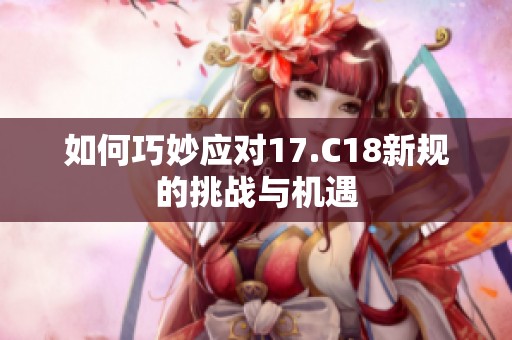 如何巧妙应对17.C18新规的挑战与机遇