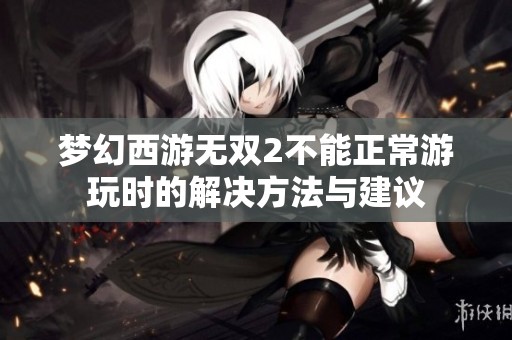 梦幻西游无双2不能正常游玩时的解决方法与建议