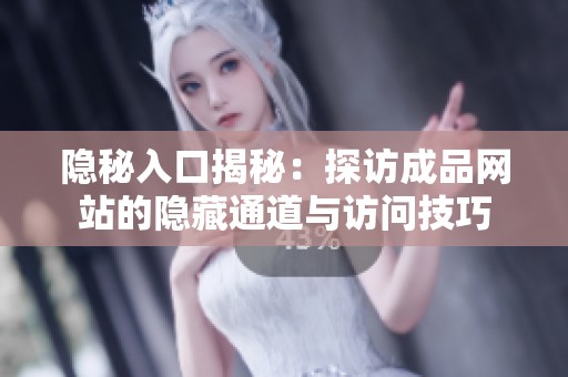 隐秘入口揭秘：探访成品网站的隐藏通道与访问技巧