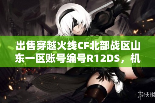 出售穿越火线CF北部战区山东一区账号编号R12DS，机会难得！