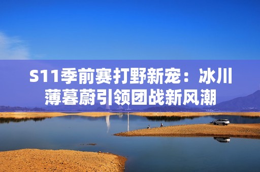 S11季前赛打野新宠：冰川薄暮蔚引领团战新风潮