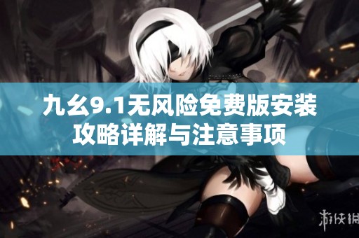 九幺9.1无风险免费版安装攻略详解与注意事项