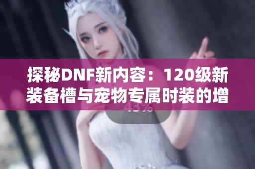 探秘DNF新内容：120级新装备槽与宠物专属时装的增益效果揭秘