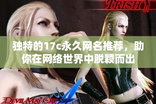 独特的17c永久网名推荐，助你在网络世界中脱颖而出