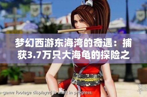 梦幻西游东海湾的奇遇：捕获3.7万只大海龟的探险之旅