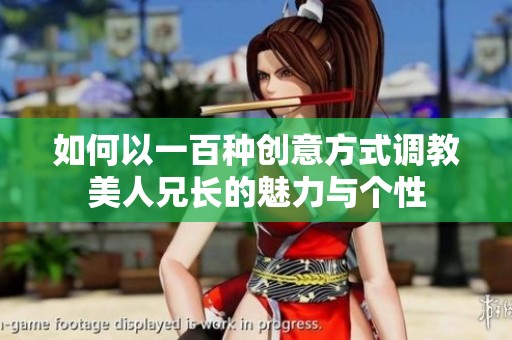 如何以一百种创意方式调教美人兄长的魅力与个性
