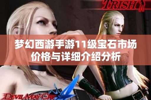 梦幻西游手游11级宝石市场价格与详细介绍分析