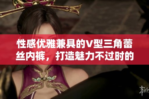 性感优雅兼具的V型三角蕾丝内裤，打造魅力不过时的完美选择