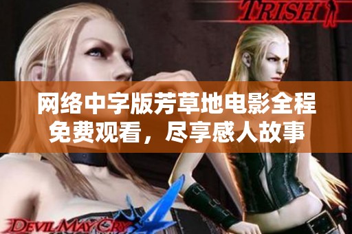 网络中字版芳草地电影全程免费观看，尽享感人故事
