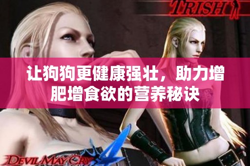 让狗狗更健康强壮，助力增肥增食欲的营养秘诀