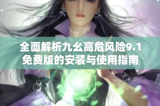 全面解析九幺高危风险9.1免费版的安装与使用指南