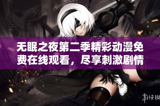 无眠之夜第二季精彩动漫免费在线观看，尽享刺激剧情与感人故事