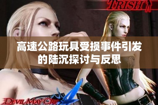 高速公路玩具受损事件引发的陆沉探讨与反思