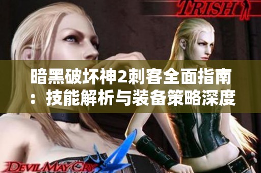 暗黑破坏神2刺客全面指南：技能解析与装备策略深度剖析