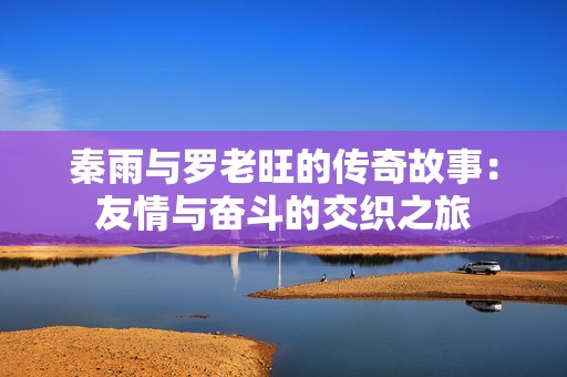 秦雨与罗老旺的传奇故事：友情与奋斗的交织之旅