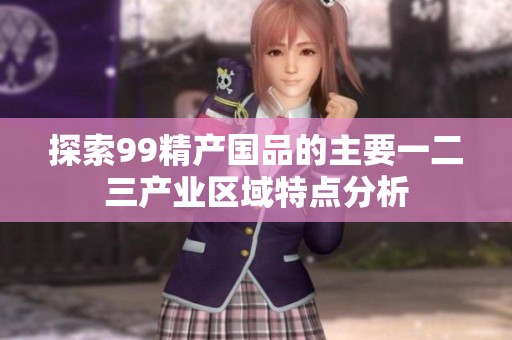探索99精产国品的主要一二三产业区域特点分析
