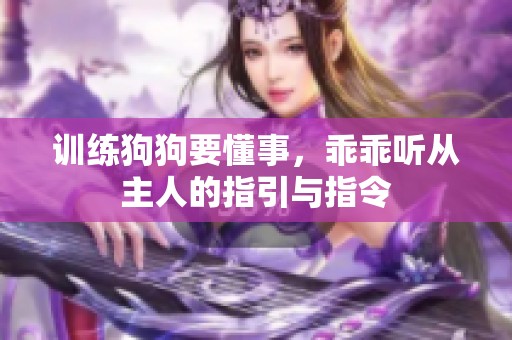 训练狗狗要懂事，乖乖听从主人的指引与指令