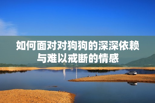 如何面对对狗狗的深深依赖与难以戒断的情感